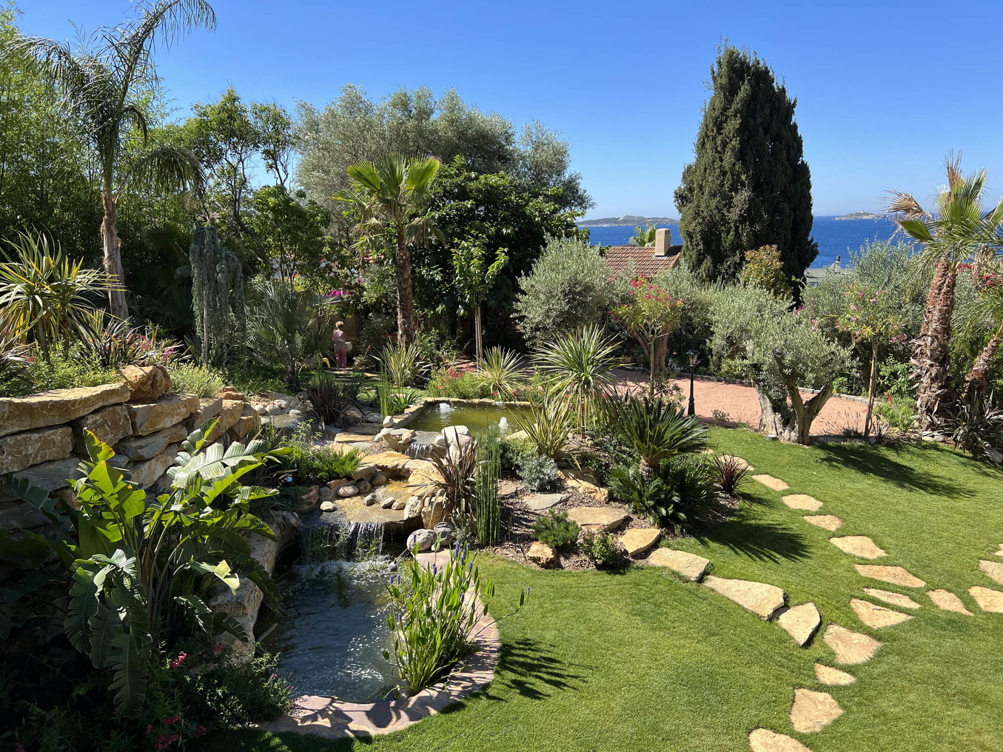 Jardin provençal : créer un jardin typique de Provence Lucien Févriero Oliviers et pins dans un jardin provençal aménagé par un paysagiste en Provence