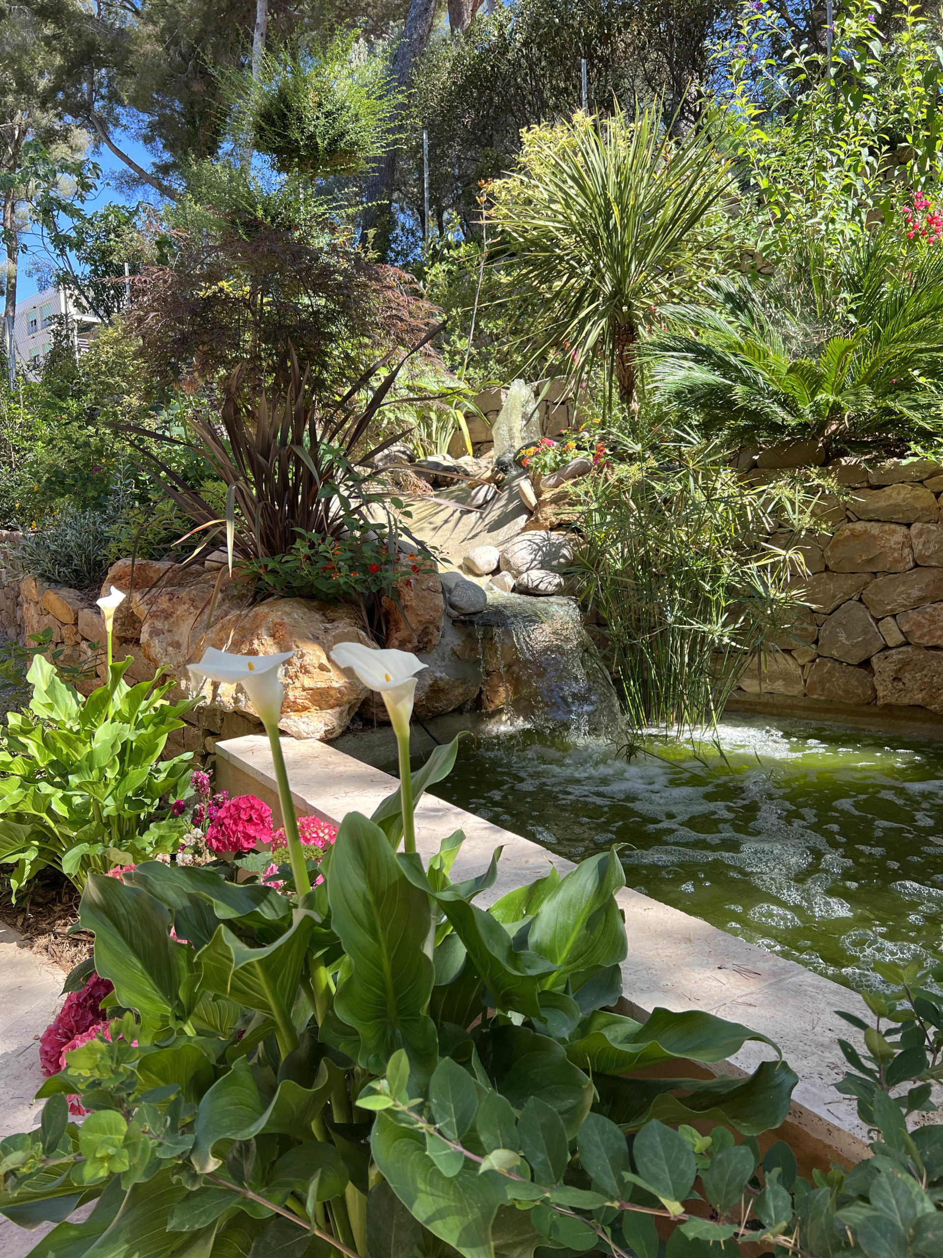 Jardin provençal : créer un jardin typique de Provence Lucien Févriero Jardin provençal avec bassin en pierre créé par un paysagiste à Marseille