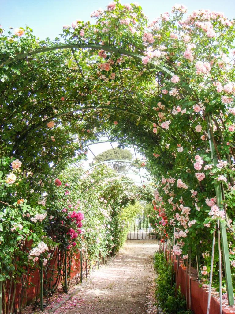 Service - Aménagement Extérieur Lucien Févriero Aménagement extérieur jardin à Marseille