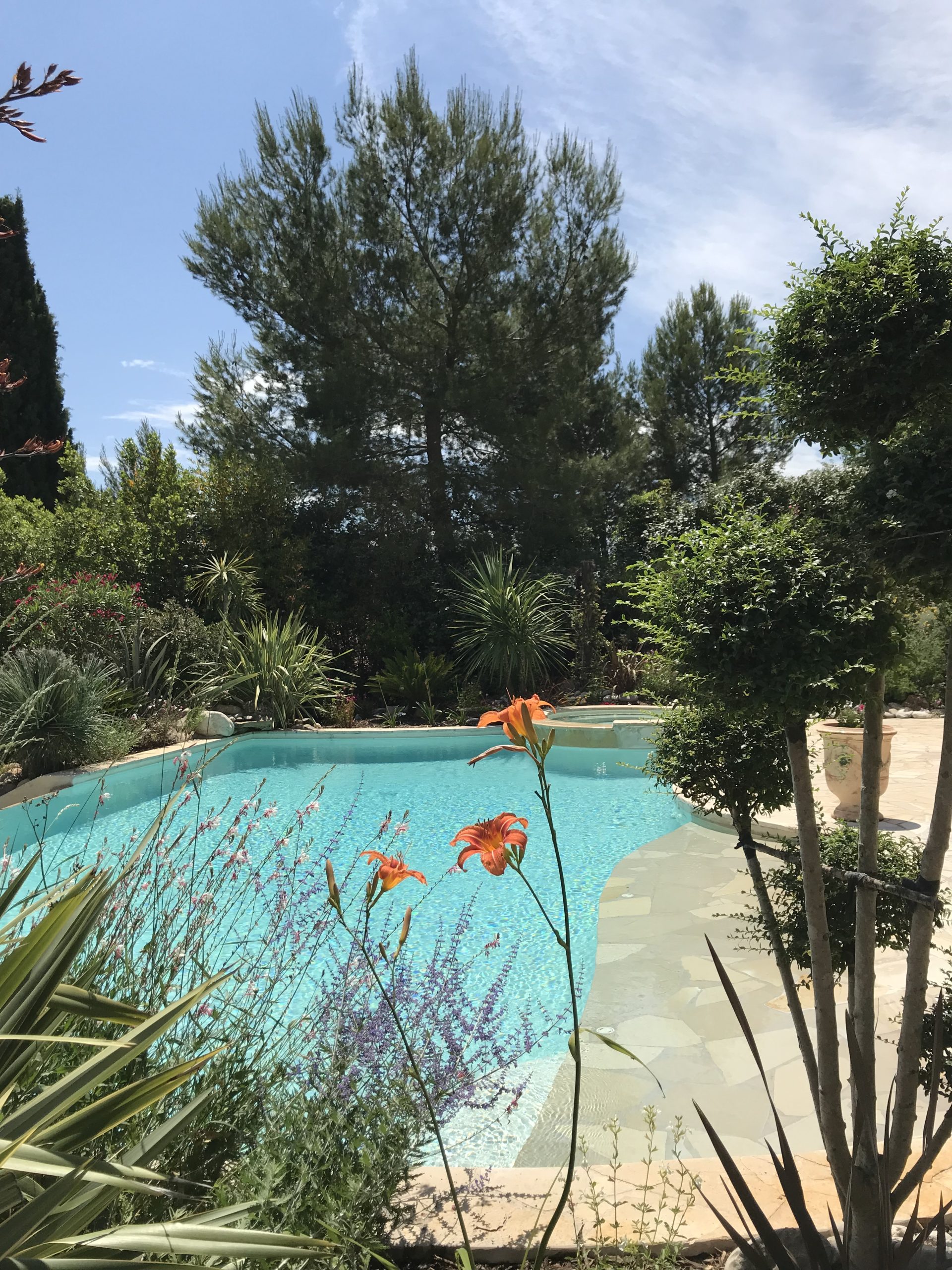 Piscine et abords paysagés avec plantations villa Roquevaire