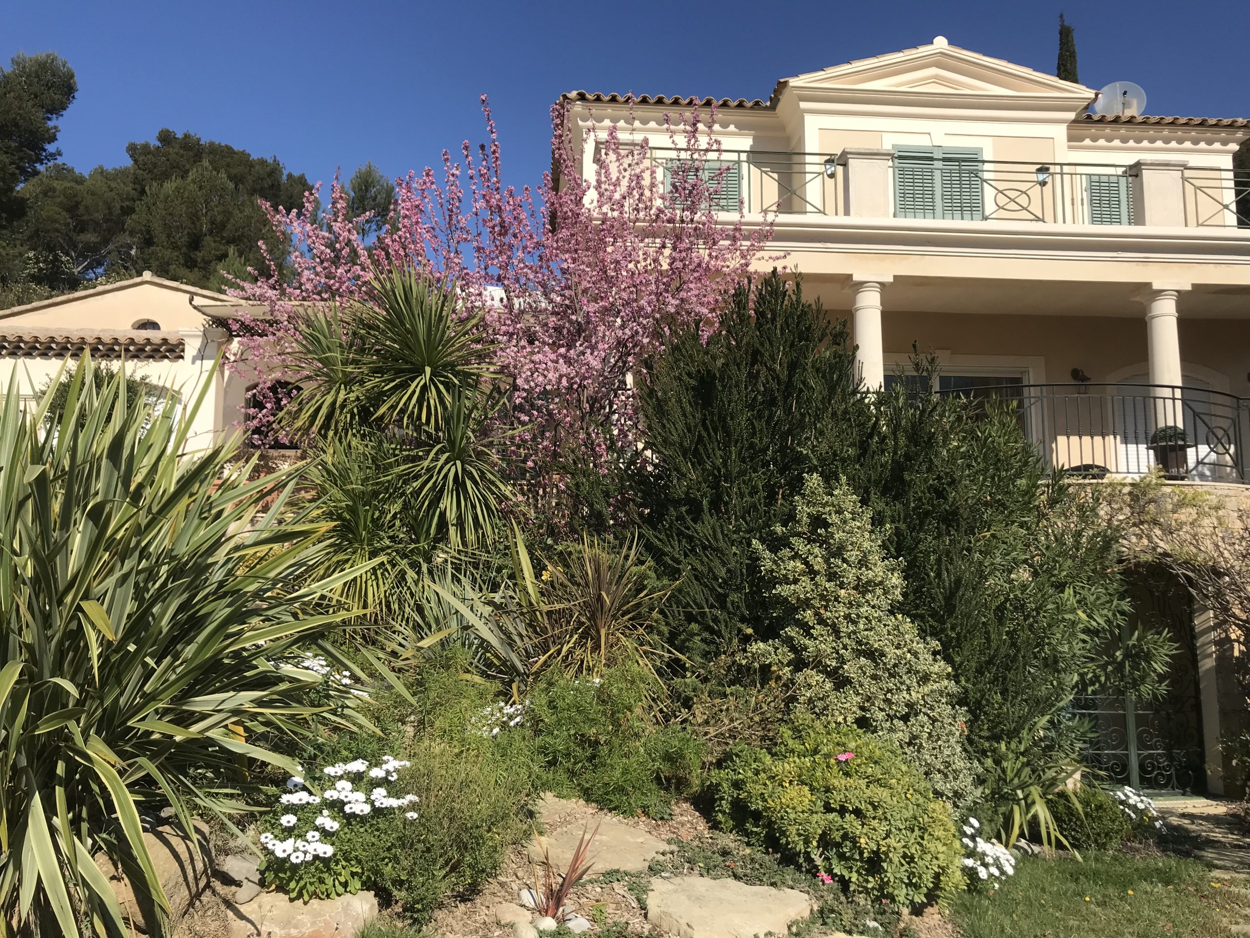 Paysagiste Roquevaire - Jardin méditerranéen avec piscine au pied du Garlaban réalisé par Lucien Févriéro