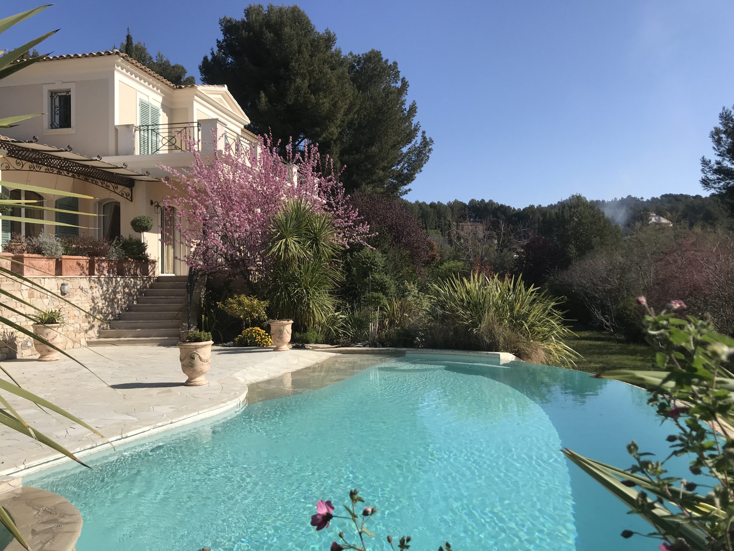 Piscine avec plantations méditerranéennes villa Roquevaire