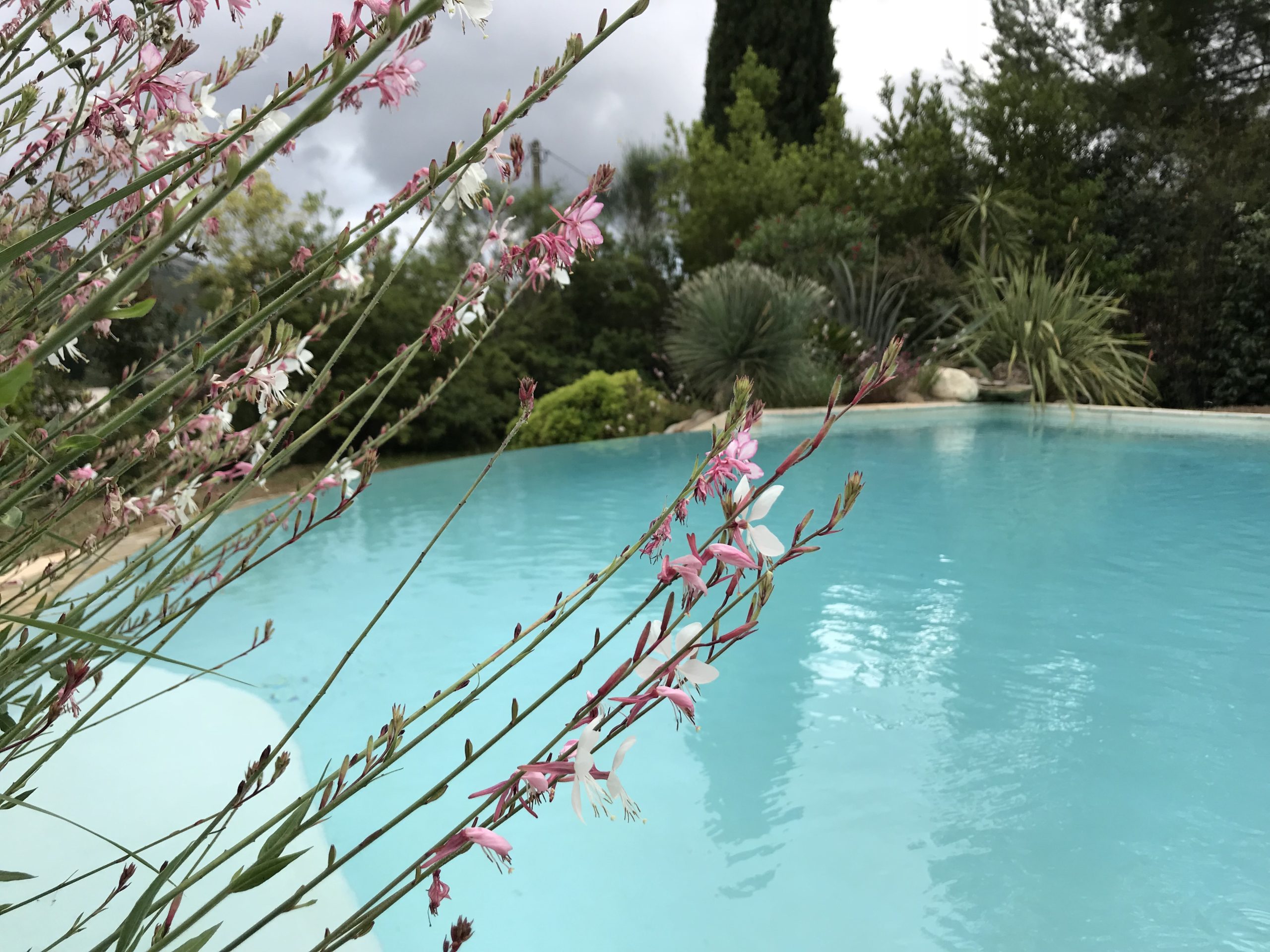 Piscine paysagée avec terrasse et plantations villa Roquevaire