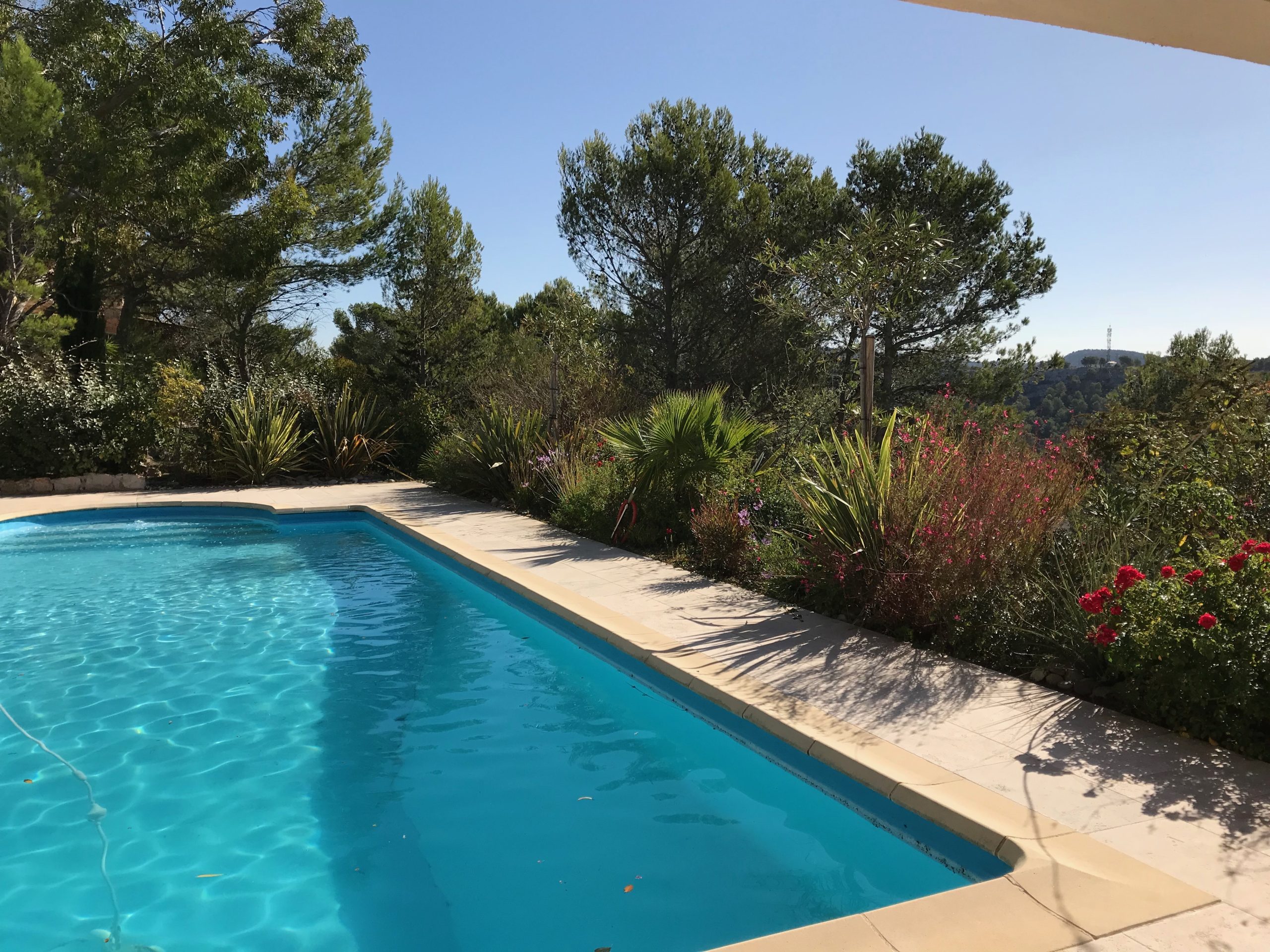 Abords de piscine avec lauriers roses et pins Carnoux-en-Provence