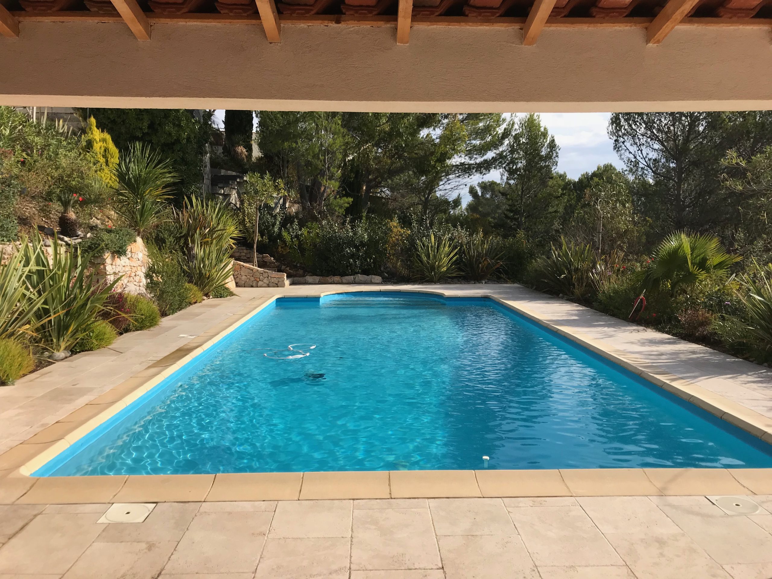 Piscine paysagée sous pergola bois avec plantations méditerranéennes Carnoux-en-Provence