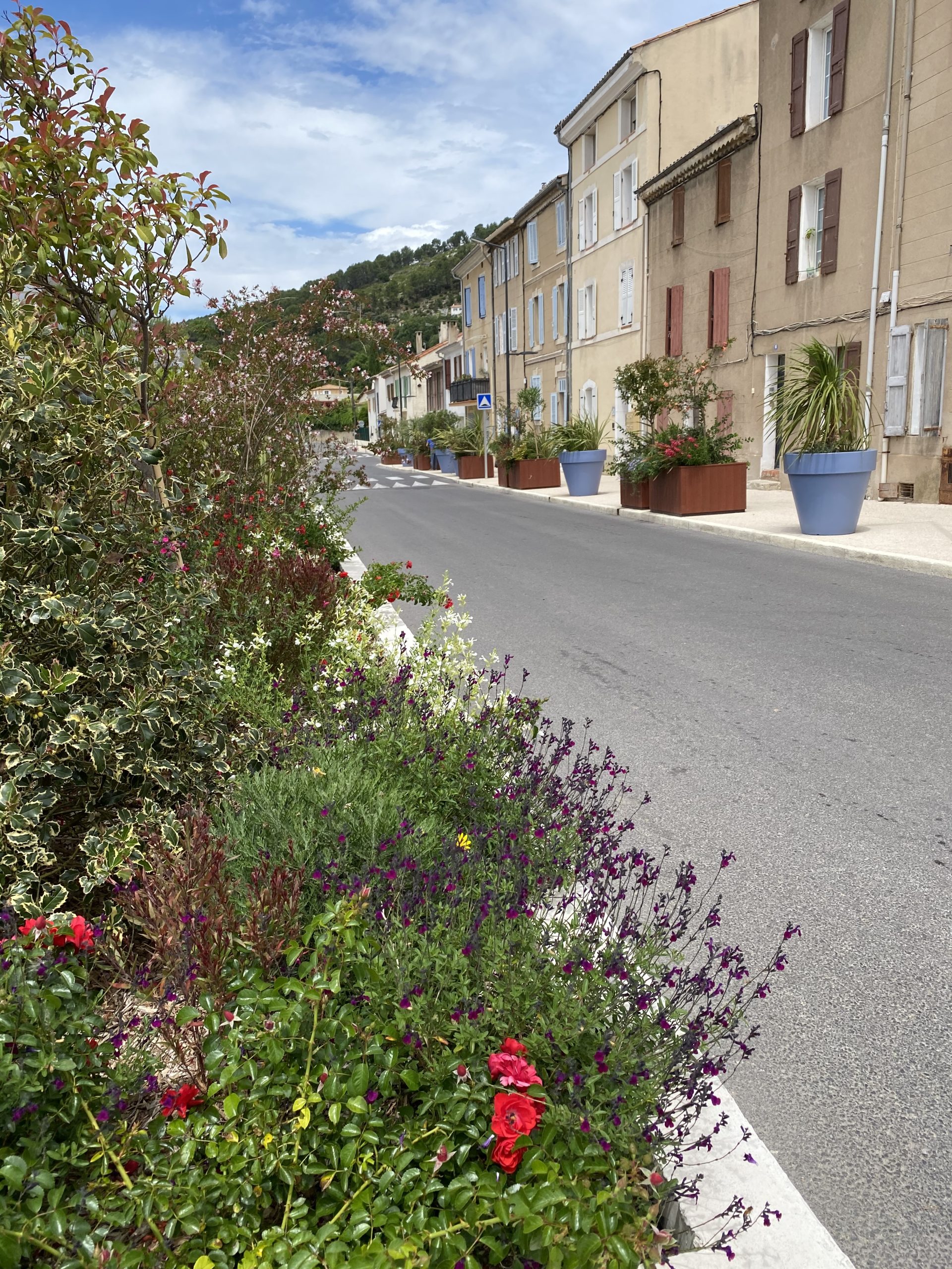 Massifs fleuris le long des rues de Saint-Zacharie vue collines Sainte-Baume