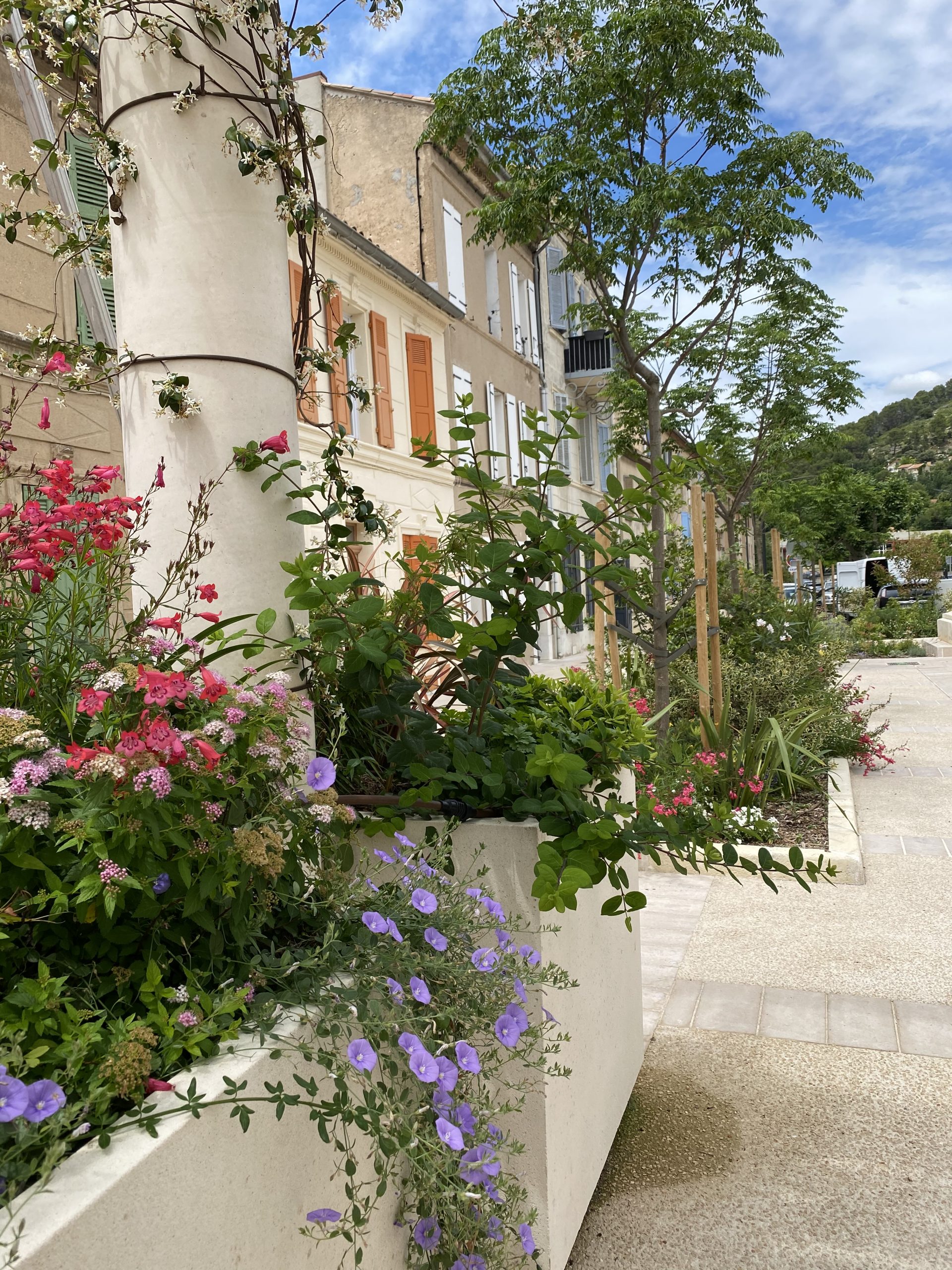 Jardinières fleuries avec plantes grimpantes sous pergola Saint-Zacharie