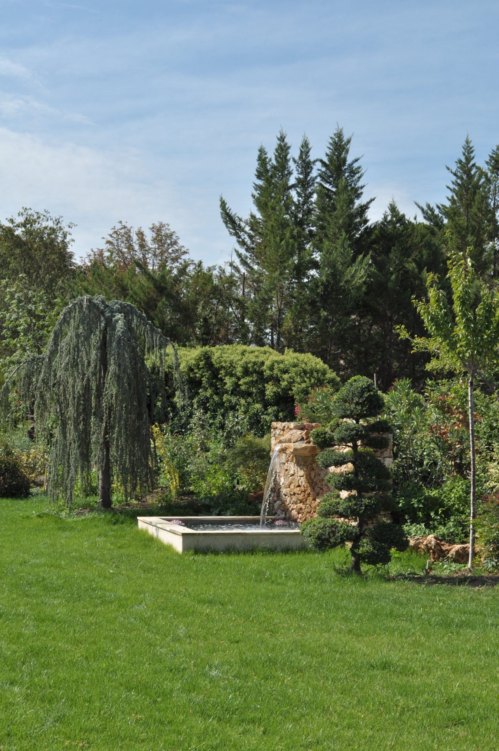 Jardin provençal : créer un jardin typique de Provence Lucien Févriero Bassin en dur de style provençal dans un jardin à Aix-en-Provence