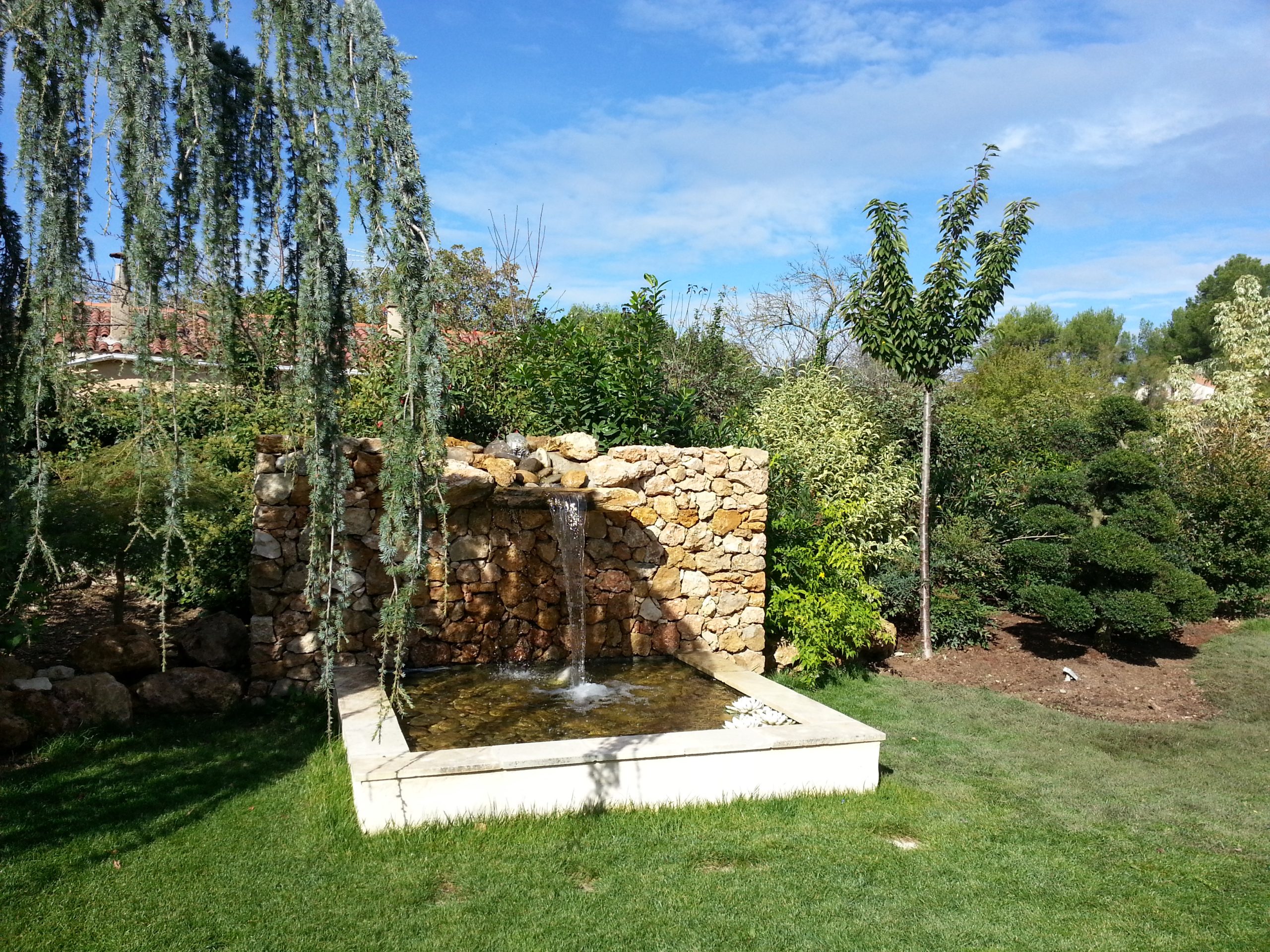 Bassin de jardin avec végétation méditerranéenne réalisé à Aix-en-Provence