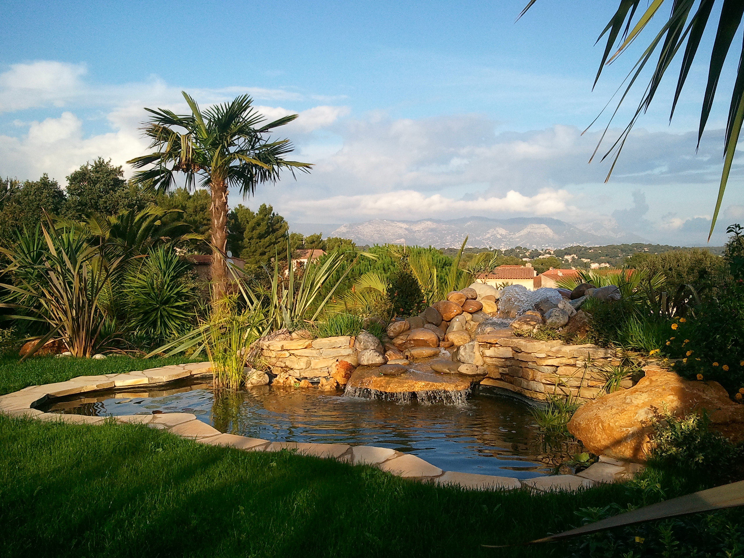 Création de bassin de jardin par un paysagiste Meilleur Ouvrier de France